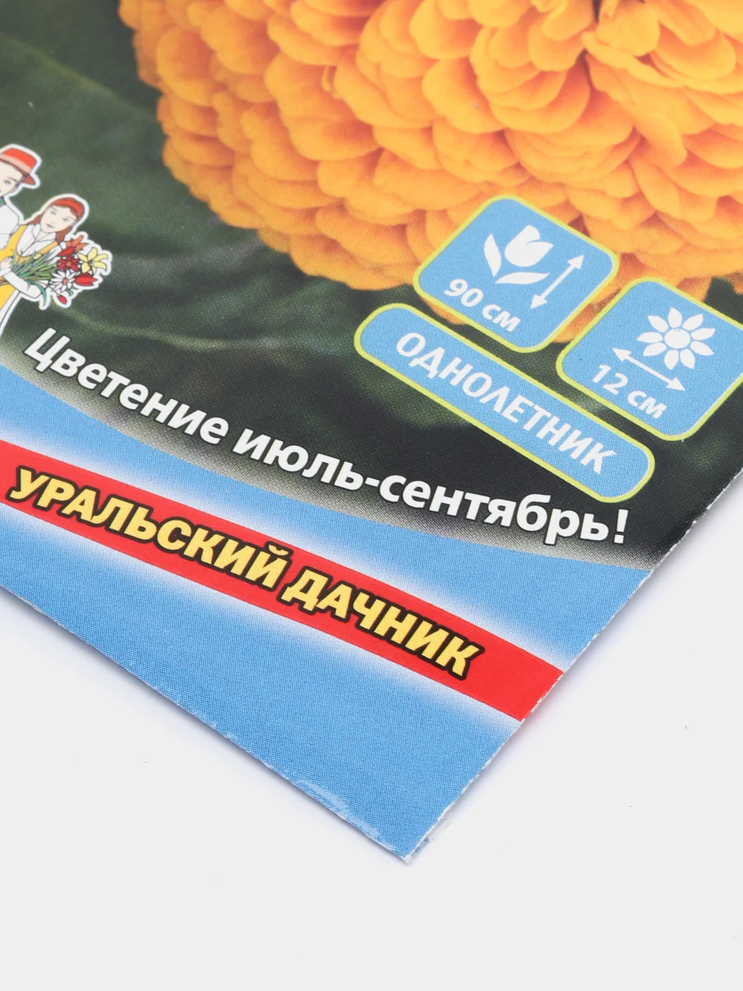 Цинния "Золотой принц", семена, цветы