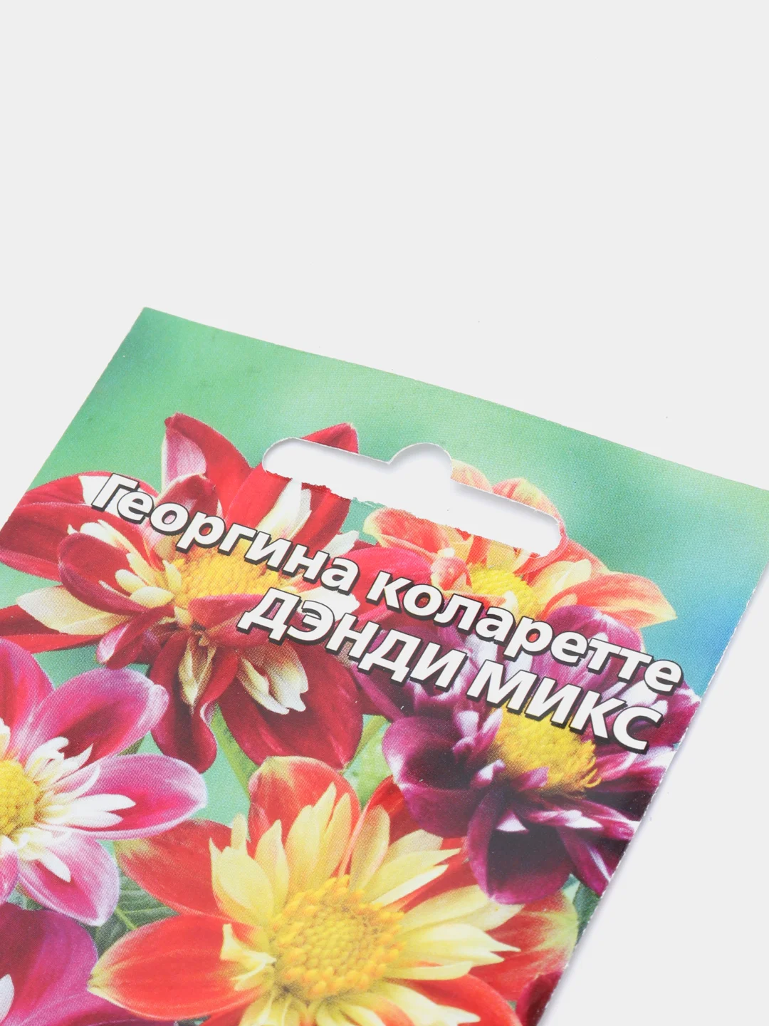 Семена цветов Георгина "Дэнди микс"