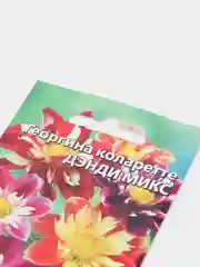 Семена цветов Георгина "Дэнди микс"