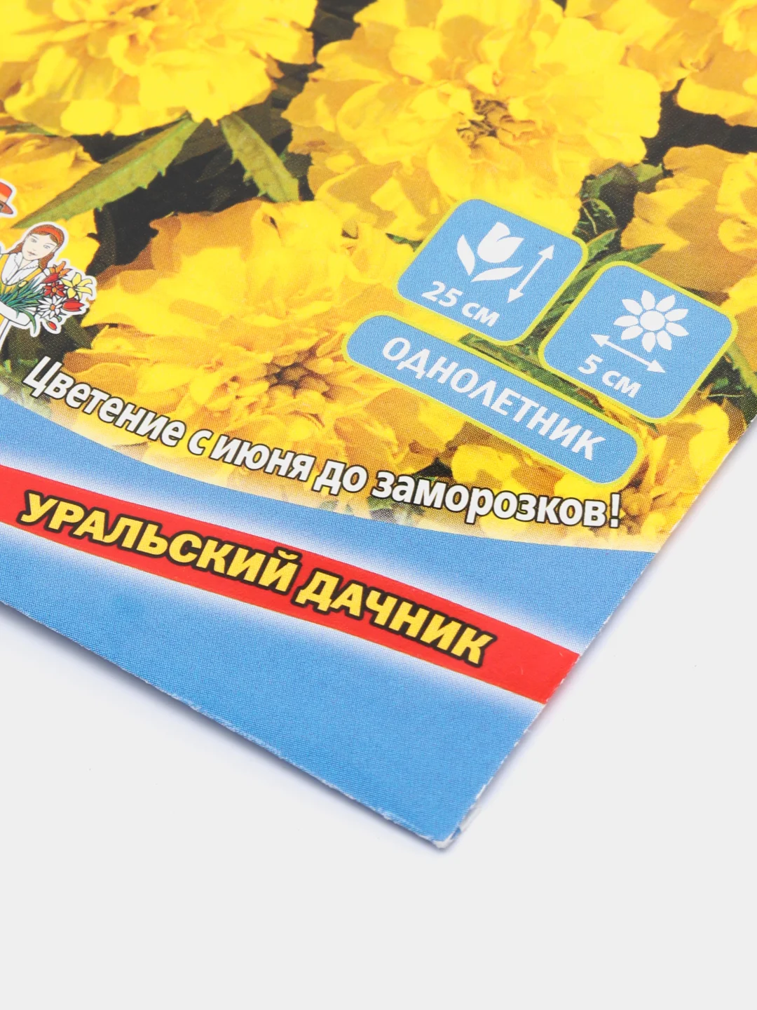 Семена цветов Бархатцы "Джем лимон"