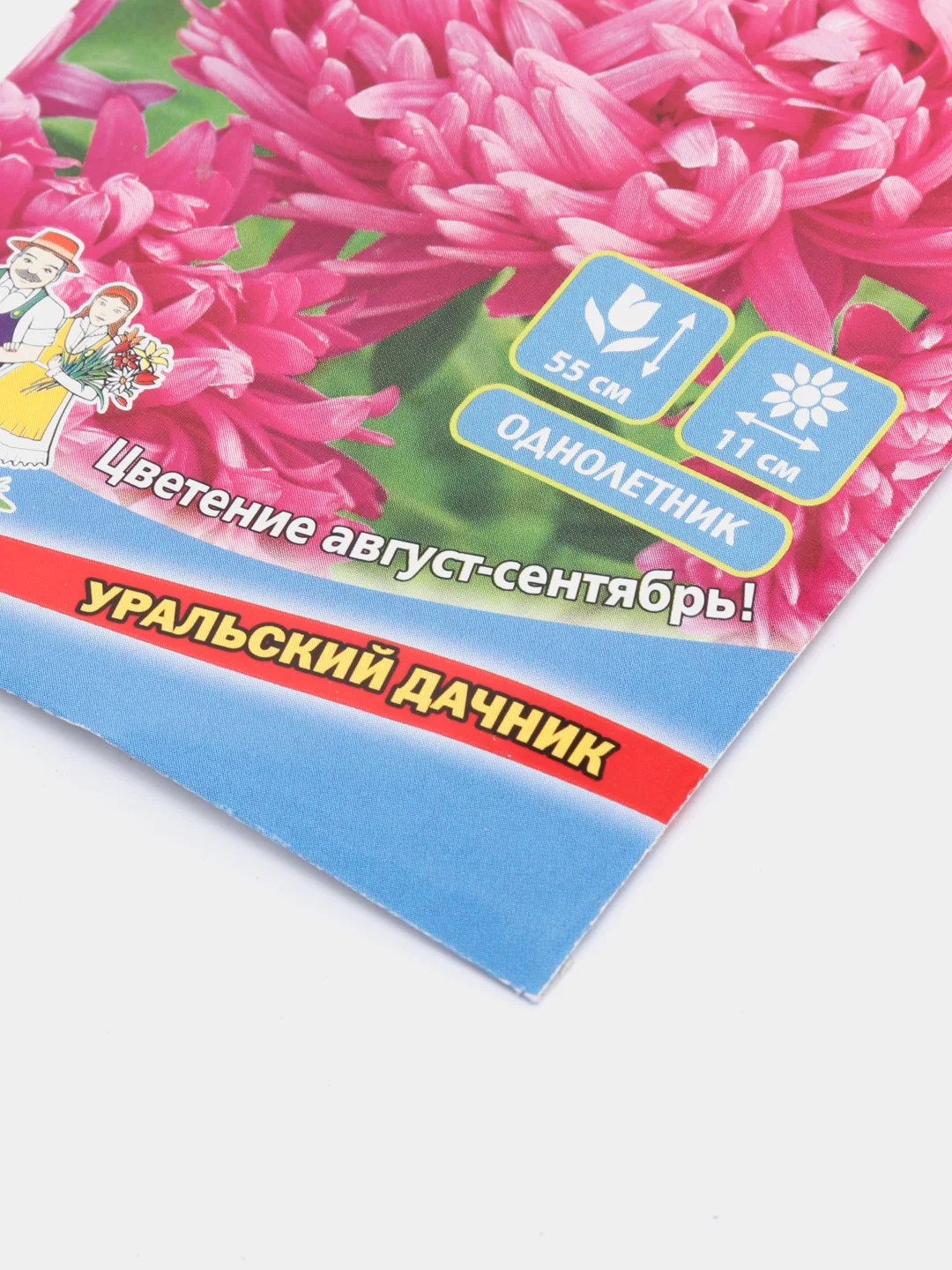 Семена цветов Астра "Королева в розовом"