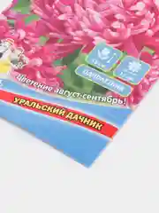 Семена цветов Астра "Королева в розовом"