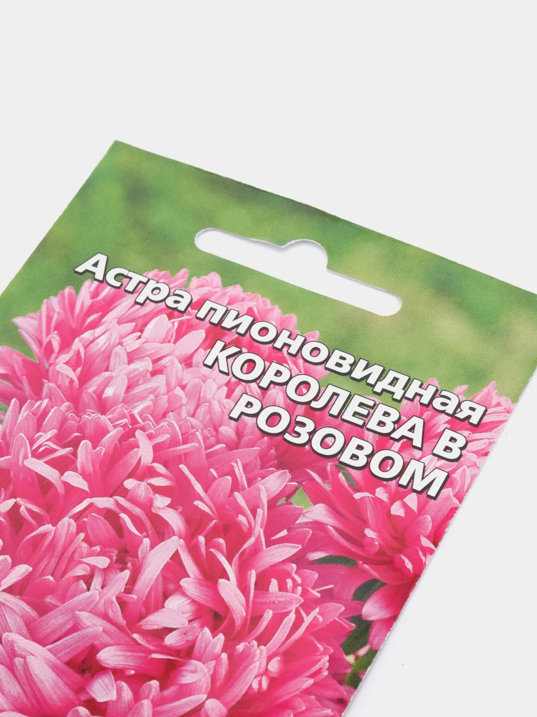 Семена цветов Астра "Королева в розовом"