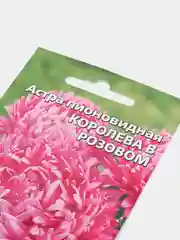 Семена цветов Астра "Королева в розовом"