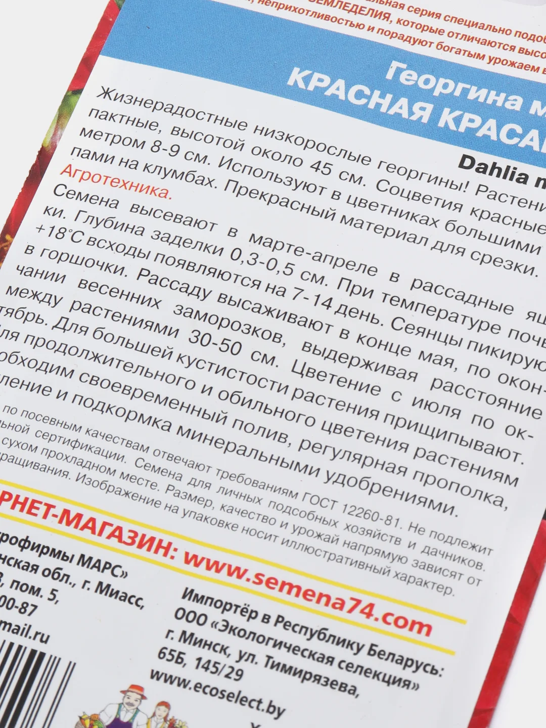 Георгина "Красная красавица", семена, цветы
