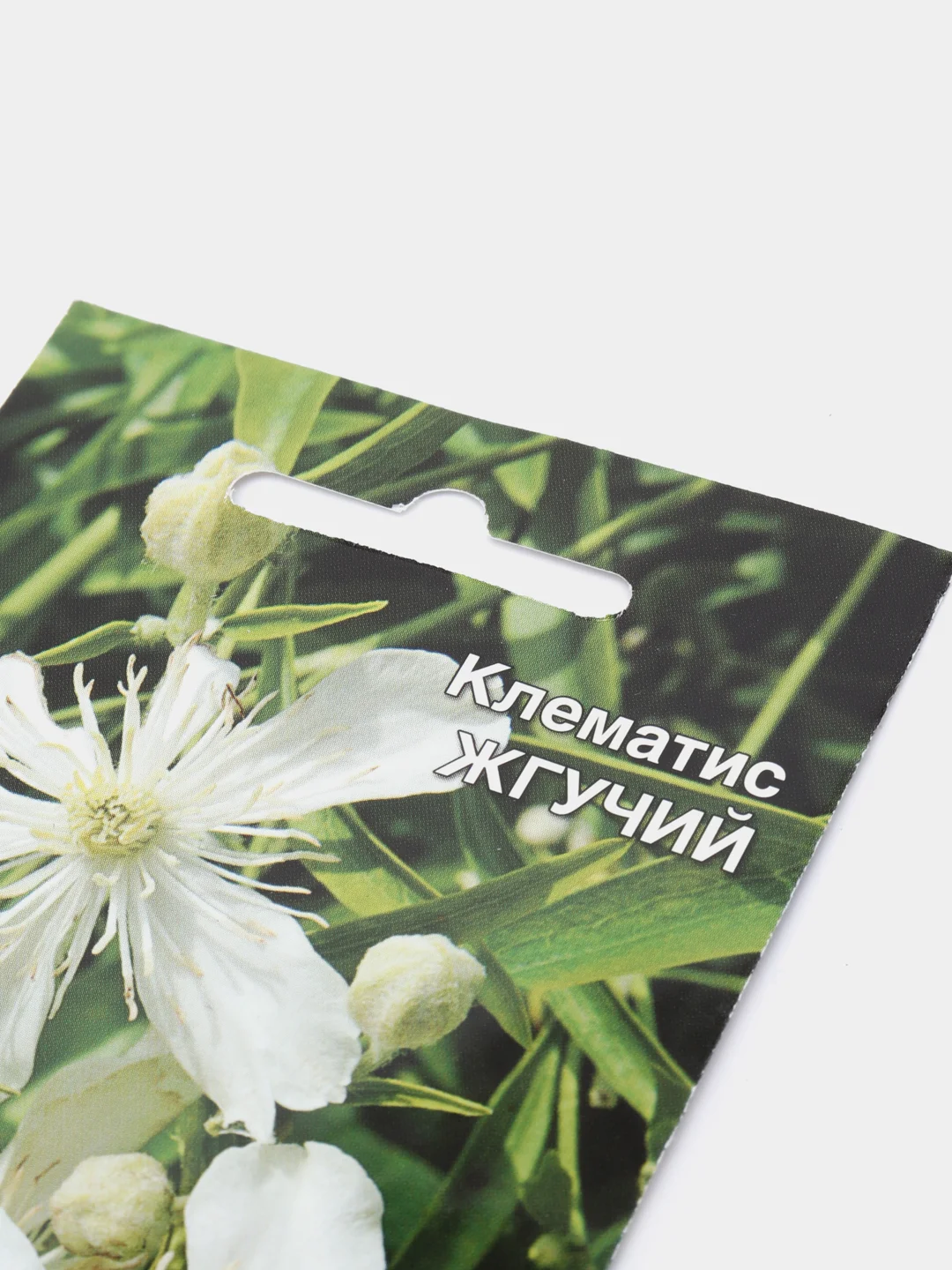 Клематис "Жгучий", семена, цветы