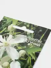 Клематис "Жгучий", семена, цветы