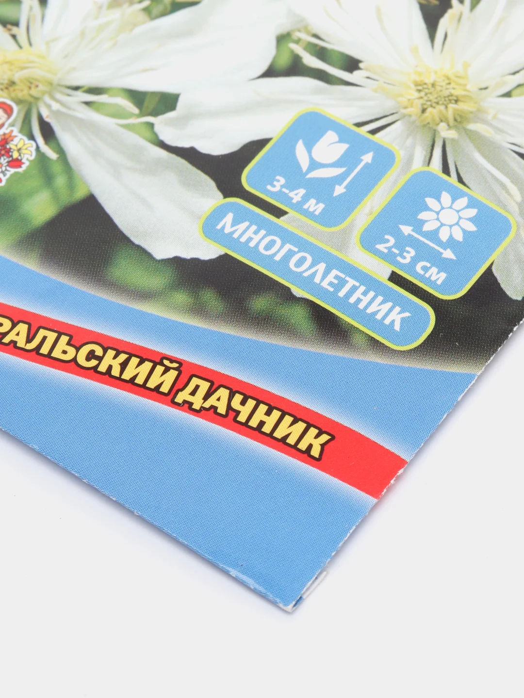 Клематис "Жгучий", семена, цветы
