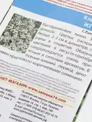 Клематис "Жгучий", семена, цветы