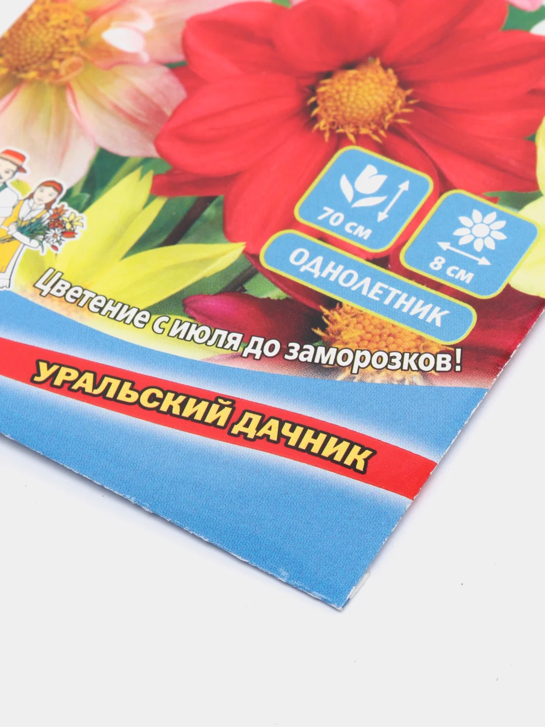 Семена цветов Георгина "Веселые ребята"