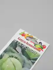 Капуста "Крюмон" (семена)