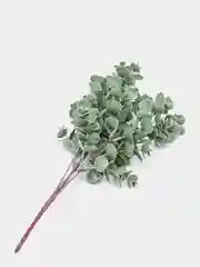 Зеленый эвкалипт искусственный, кустик
