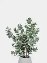 Зеленый эвкалипт искусственный, кустик