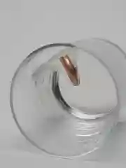 Прозрачный непробиваемый.тигр