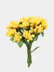 Желтый тычинки с сахарными вставками