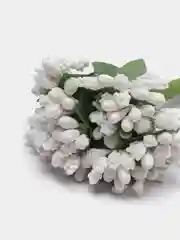 Белый тычинки с сахарными вставками