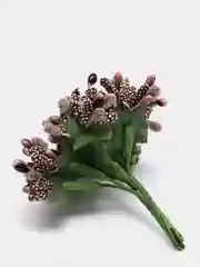 Коричневый тычинки с сахарными вставками