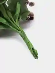 Коричневый тычинки с сахарными вставками