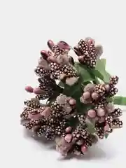 Коричневый тычинки с сахарными вставками