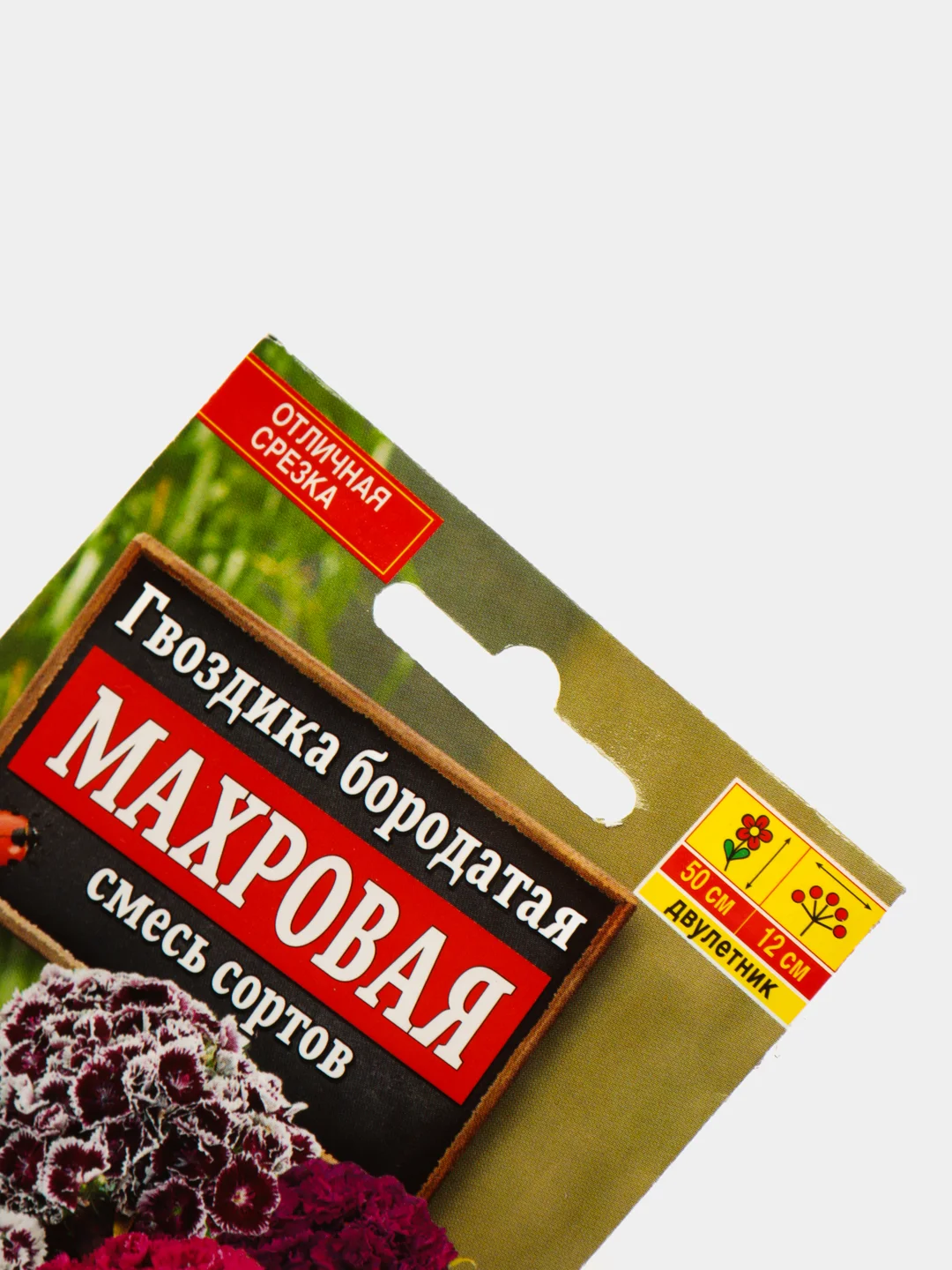 Гвоздика "Махровая" (семена, цветы)