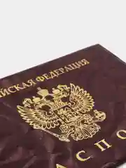 Бордовый обложка для паспорта, цвет на выбор