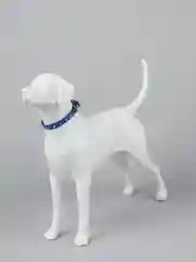 Синий ошейник кожаный с шипами