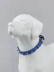 Синий ошейник кожаный с шипами