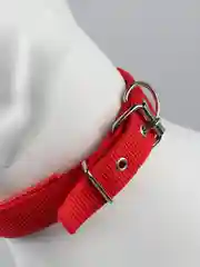 Красный ошейник нейлоновый, для собак и кошек, с подкладкой, разные цвета
