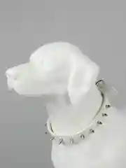 Белый ошейник с шипами для собак кошек