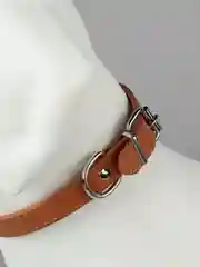 Коричневый ошейник кожаный для собак и кошек