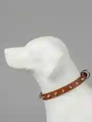 Коричневый ошейник с шипами для собак кошек