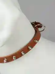 Коричневый ошейник с шипами для собак кошек