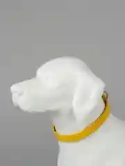 Желтый ошейник кожаный для собак и кошек
