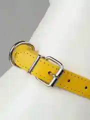 Желтый ошейник кожаный для собак и кошек
