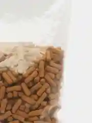 Корм для рыб Tetra Cichlid Sticks, корм для всех видов цихлид, в палочках