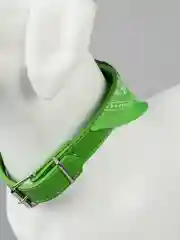 Лесной зеленый ошейник бандана для собак и кошек
