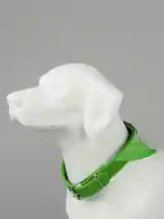 Лесной зеленый ошейник бандана для собак и кошек