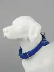 Синий ошейник бандана для собак и кошек