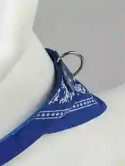 Синий ошейник бандана для собак и кошек