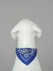 Синий ошейник бандана для собак и кошек