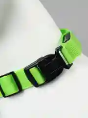 Зеленый светящийся ошейник для собак