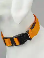 Зеленый светящийся ошейник для собак