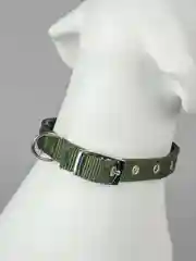 Хаки ошейник для собак, с подкладкой, с хромированной пряжкой, 4 цвета