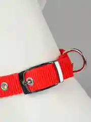 Красный ошейник для собак, с подкладкой, с хромированной пряжкой, 4 цвета