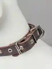 Коричневый ошейник из натуральной кожи, с подкладом из ватина, украшен горячим тиснением "Кость"