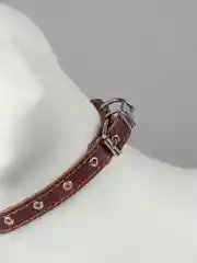 Коричневый ошейник из натуральной кожи, с подкладом из ватина, украшен горячим тиснением "Кость"