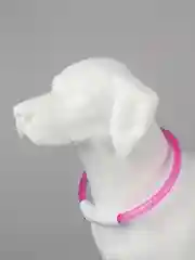 Фуксия светящийся LED ошейник силиконовый для собак на USB зарядке