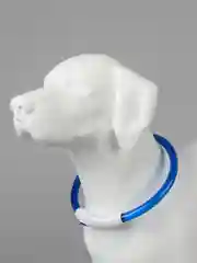 Синий светящийся LED ошейник силиконовый для собак на USB зарядке
