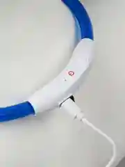 Синий светящийся LED ошейник силиконовый для собак на USB зарядке