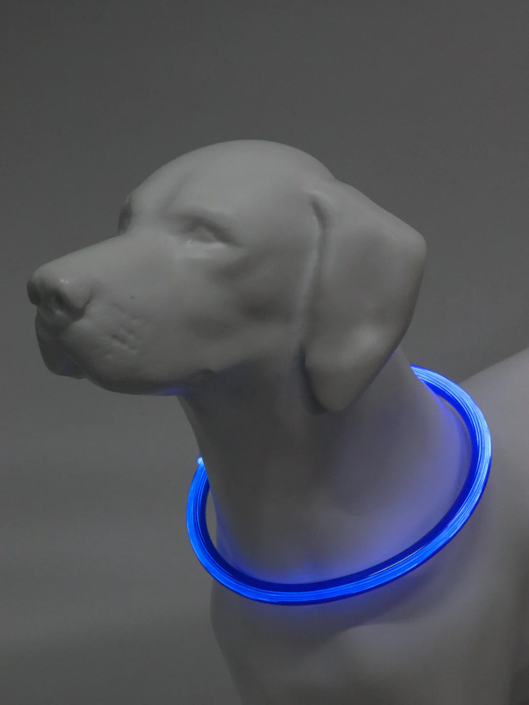 Синий светящийся LED ошейник силиконовый для собак на USB зарядке